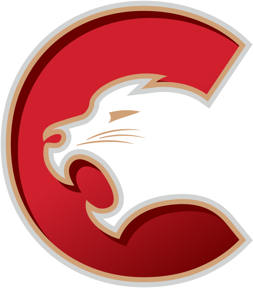 Prince George Cougars 2015 16-Pres Primary Logo vinyl decal